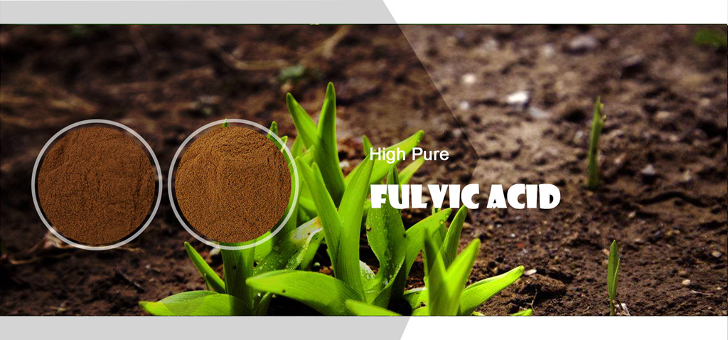 fulvic_acid