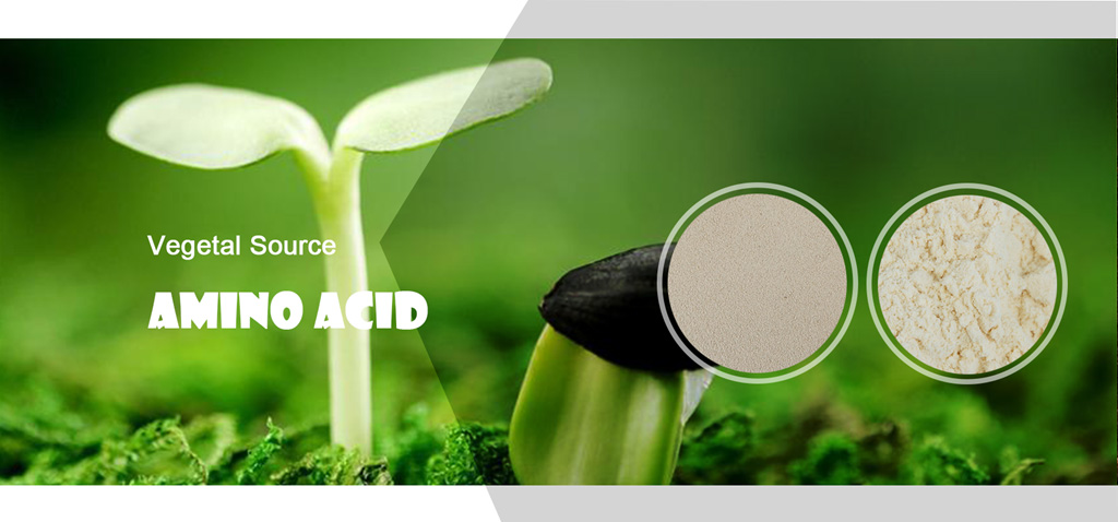 vegetal_amino_acid